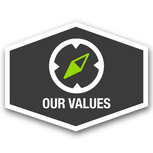 Our Values Icon